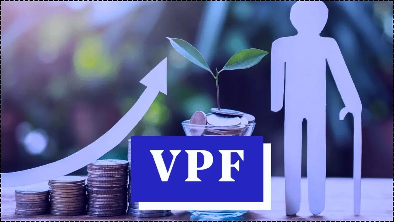India Keeps VPF Rate At 8.25% — Great for Stability
